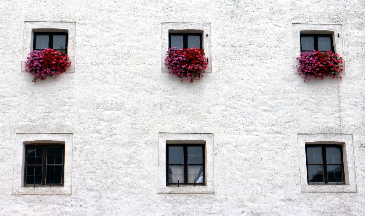 facade window building free photo