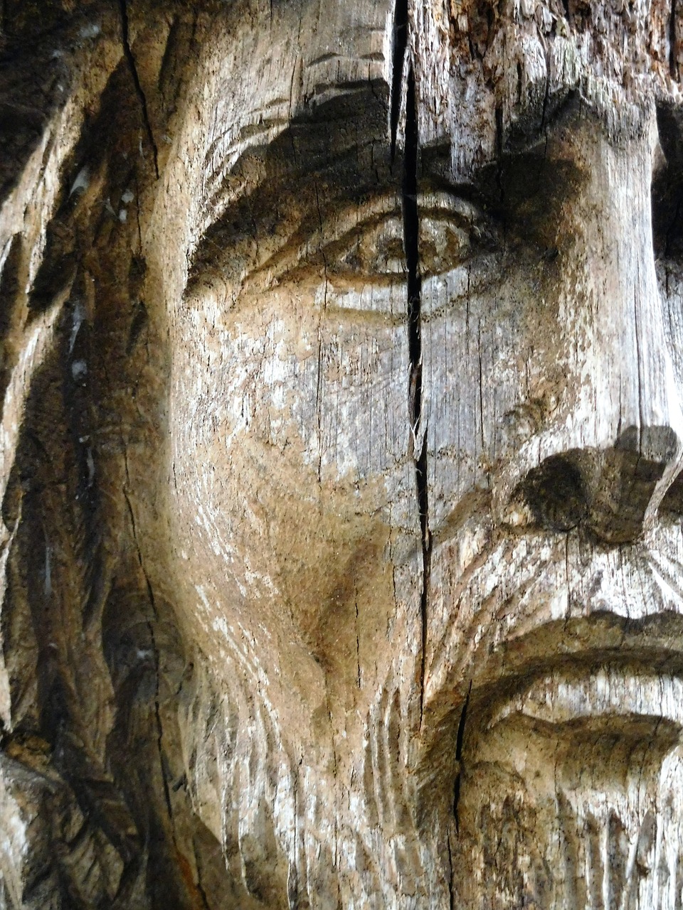 face wooden face wooden free photo