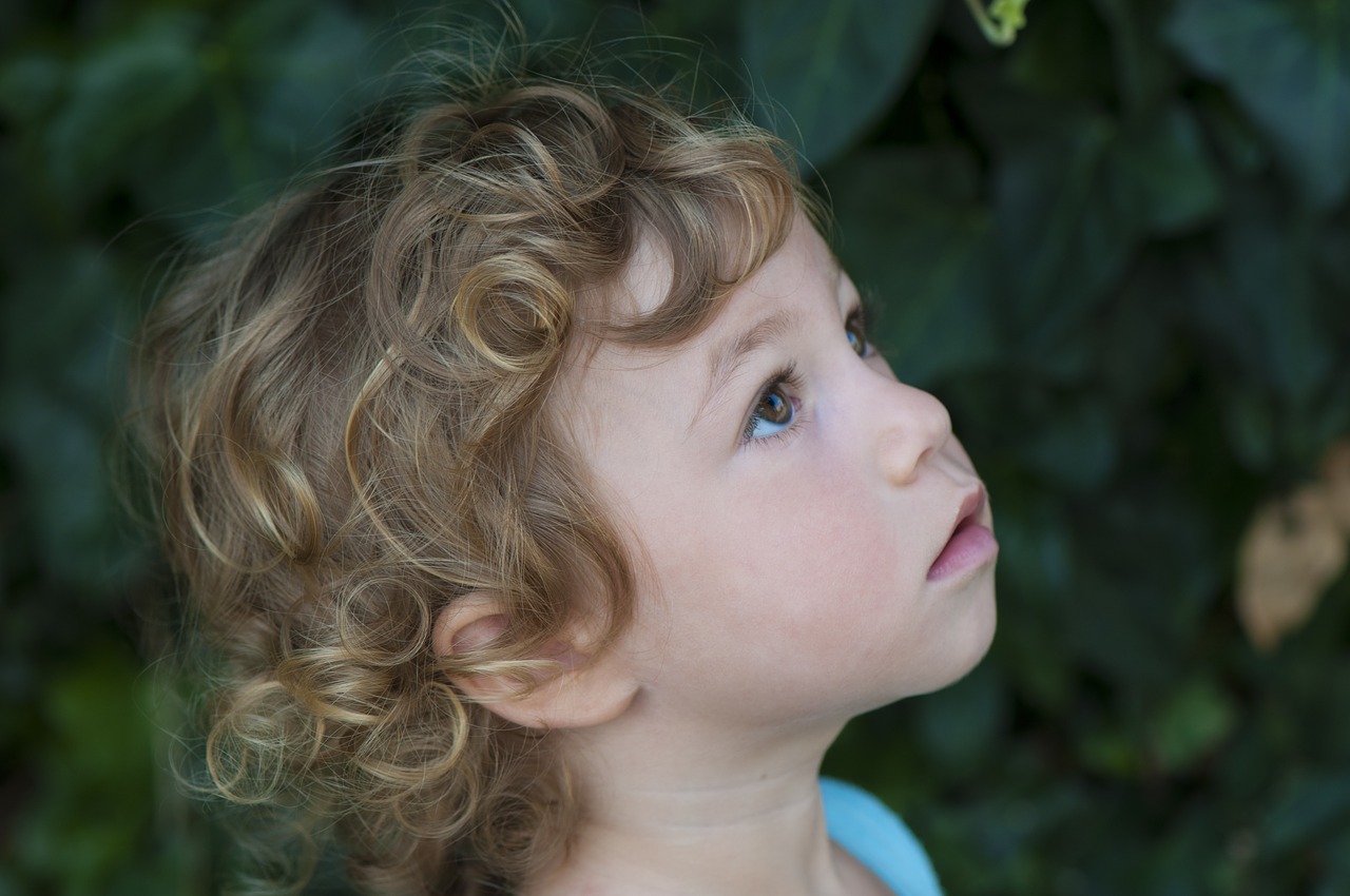 face little girl curls free photo