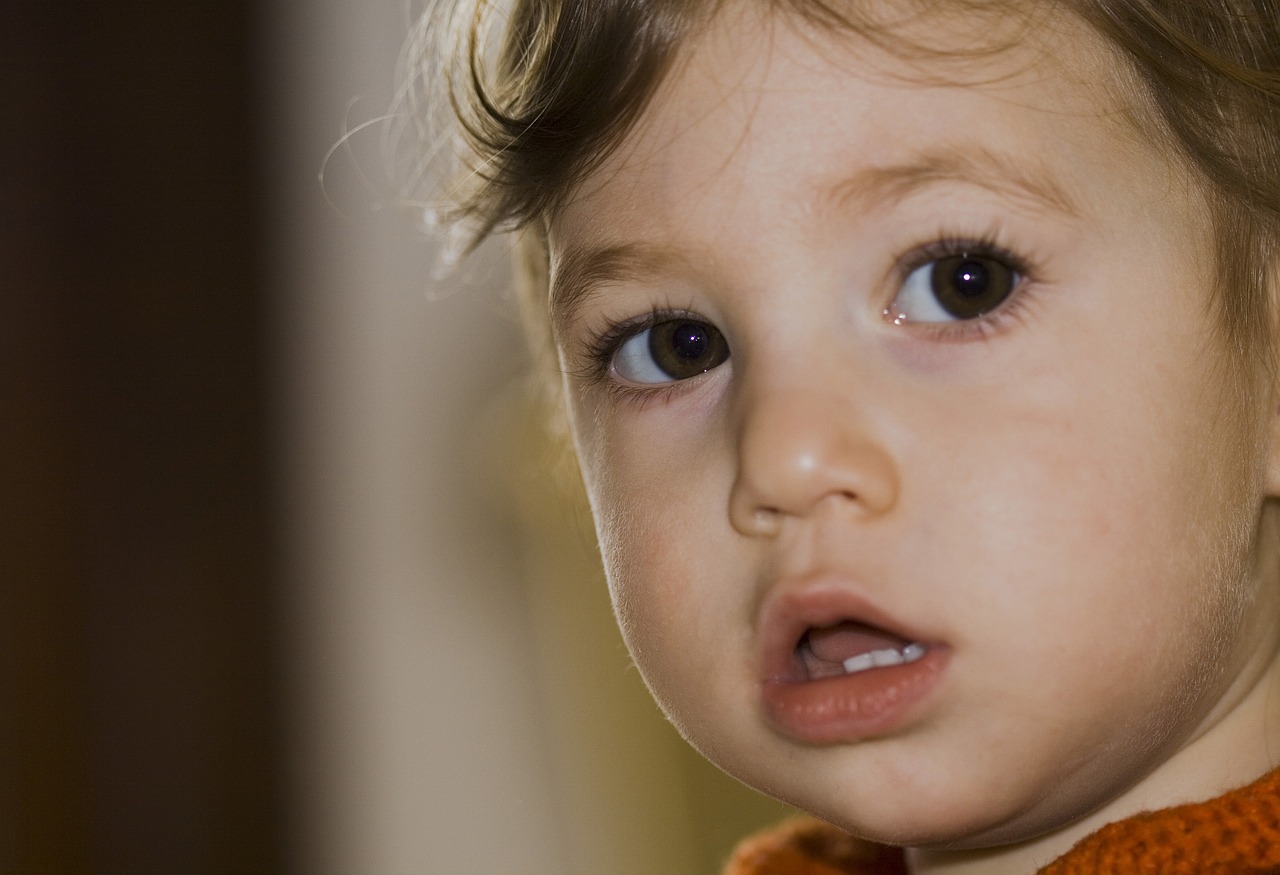 face little girl portrait free photo