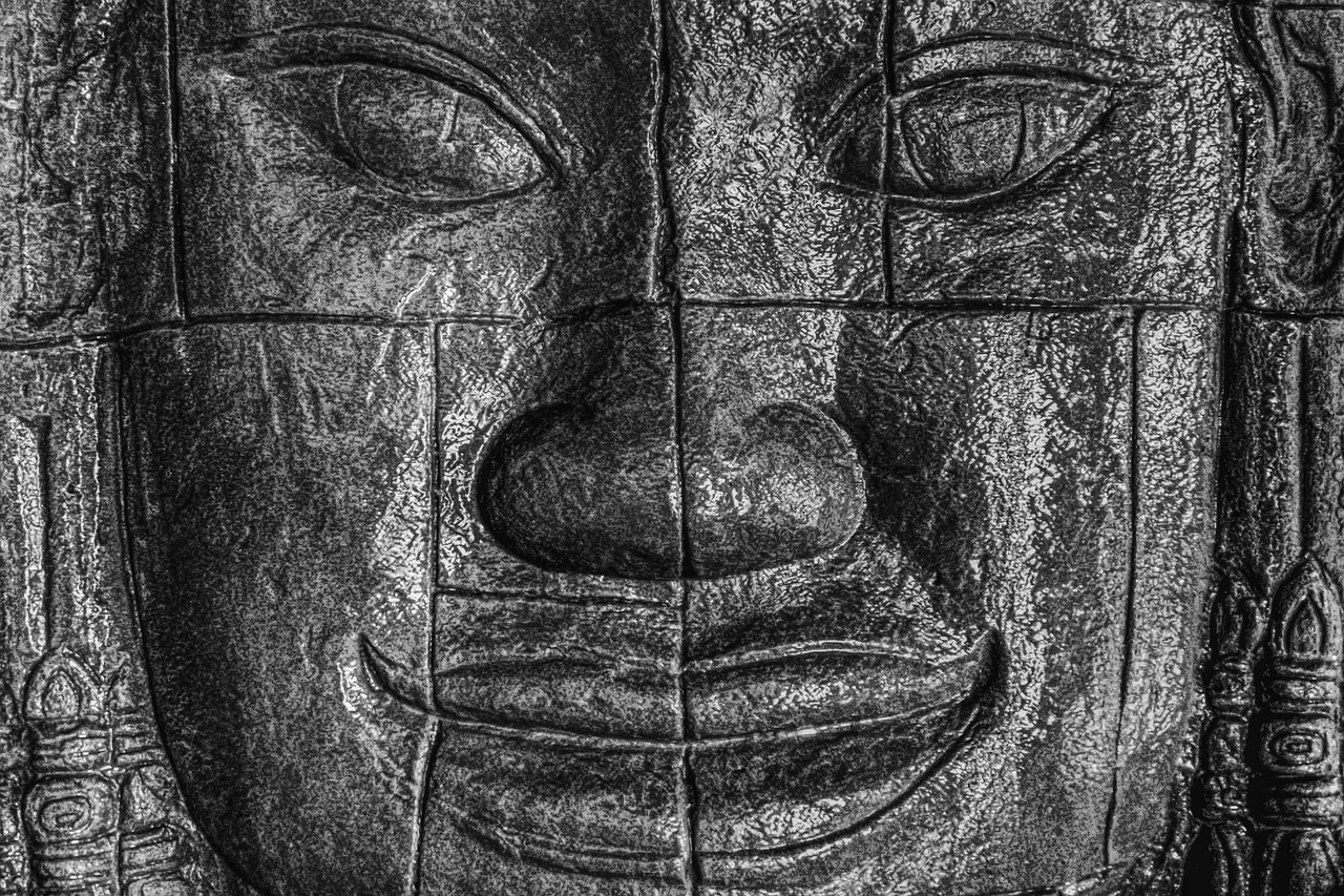 face  black  african free photo