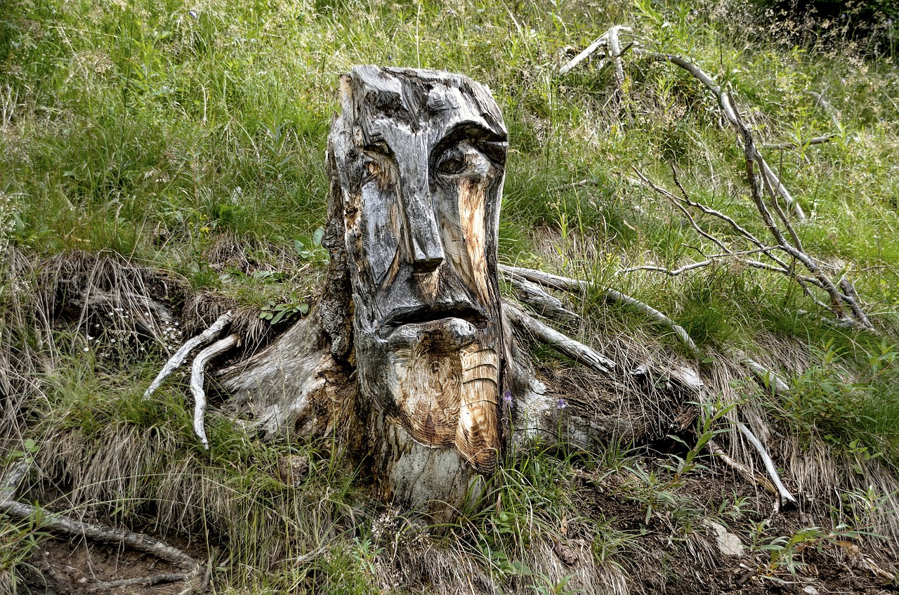 face  wood  nature free photo