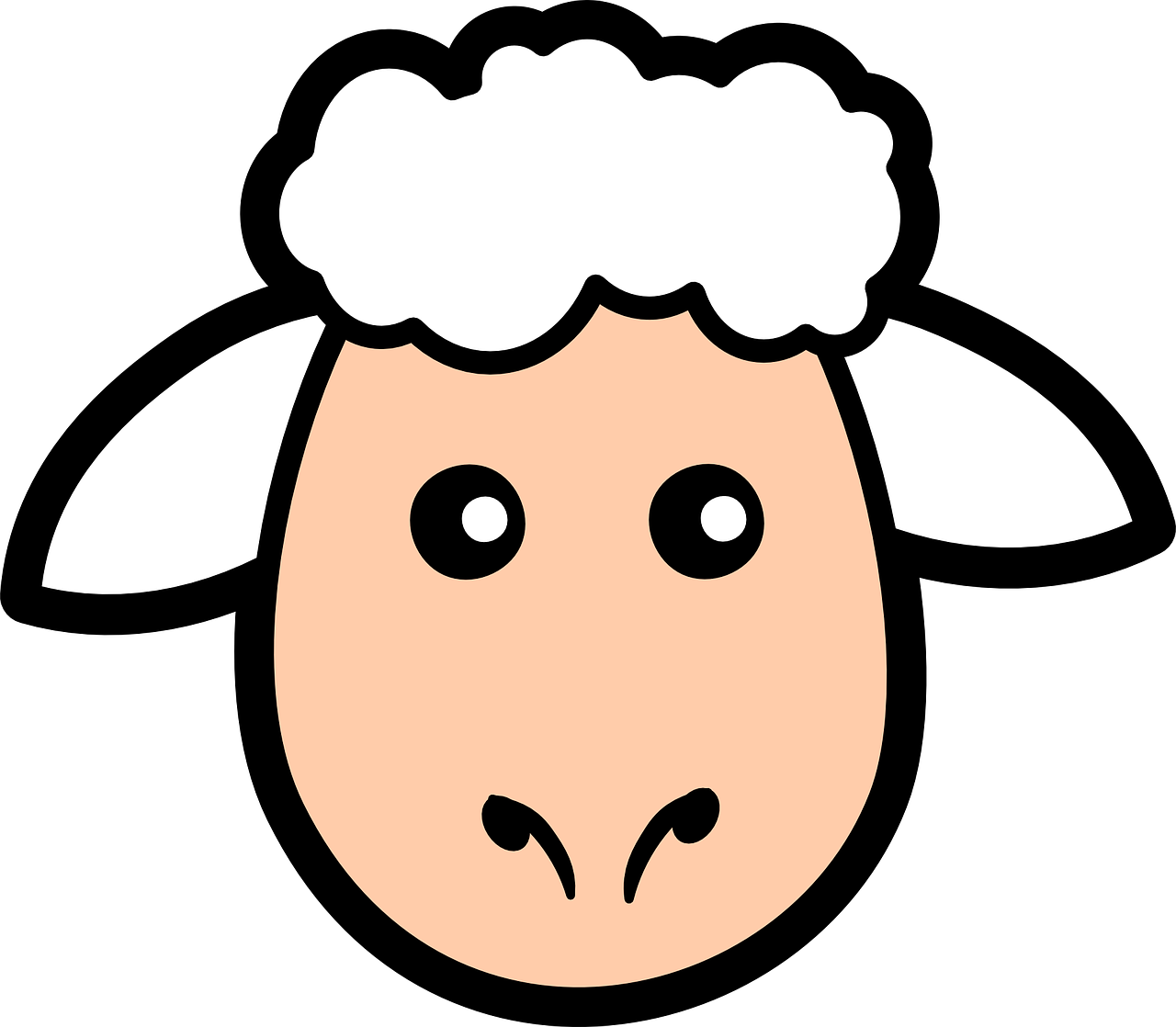 face sheep cute free photo