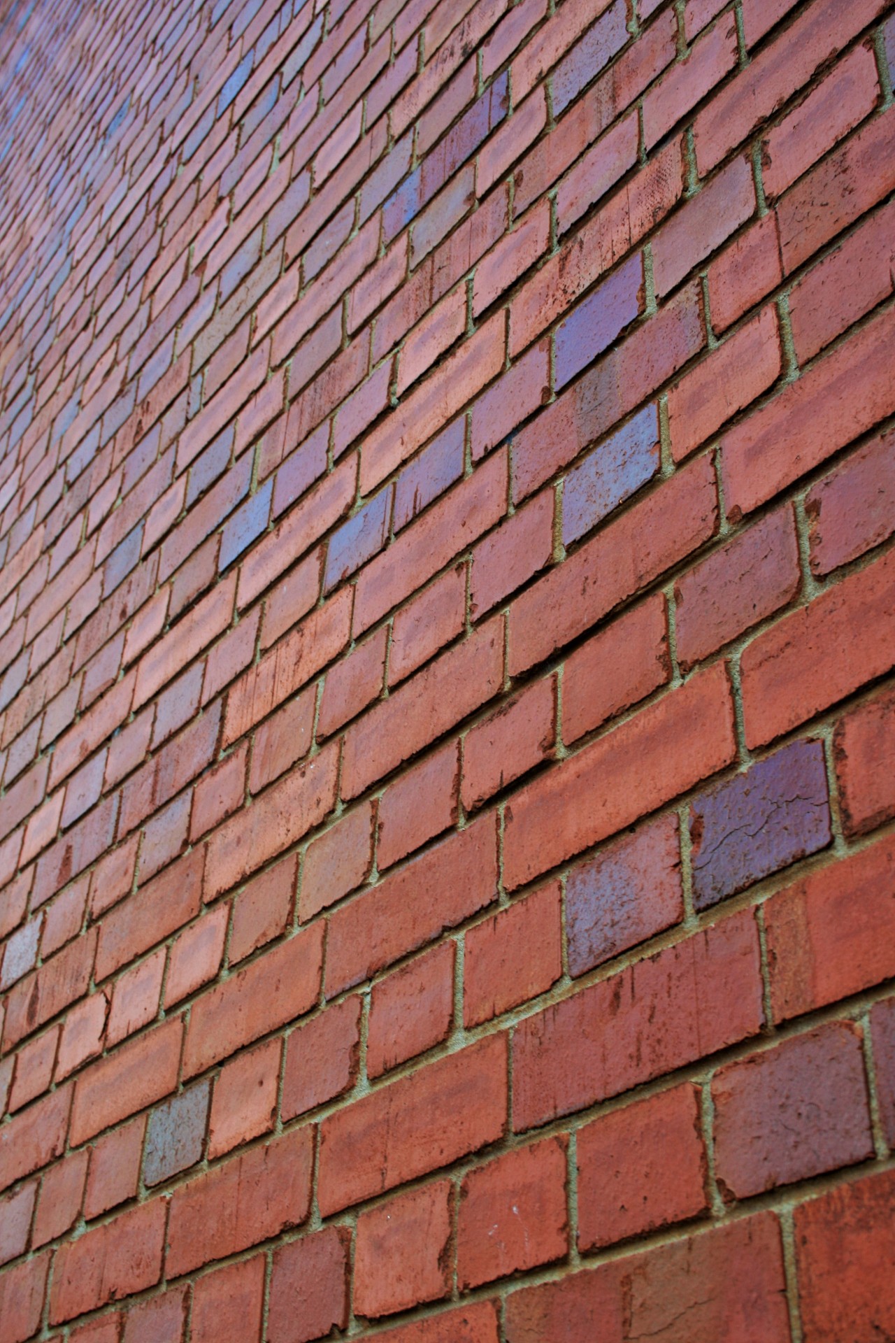 wall bricks red free photo