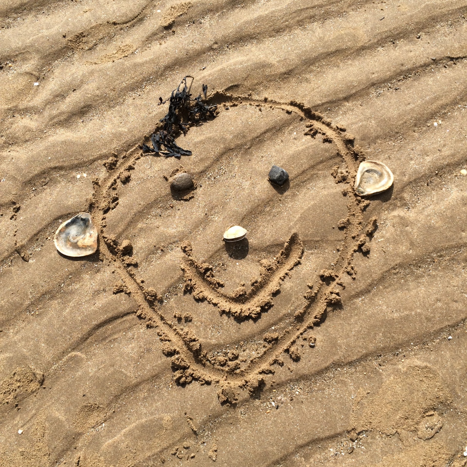 face sand face on the sand free photo