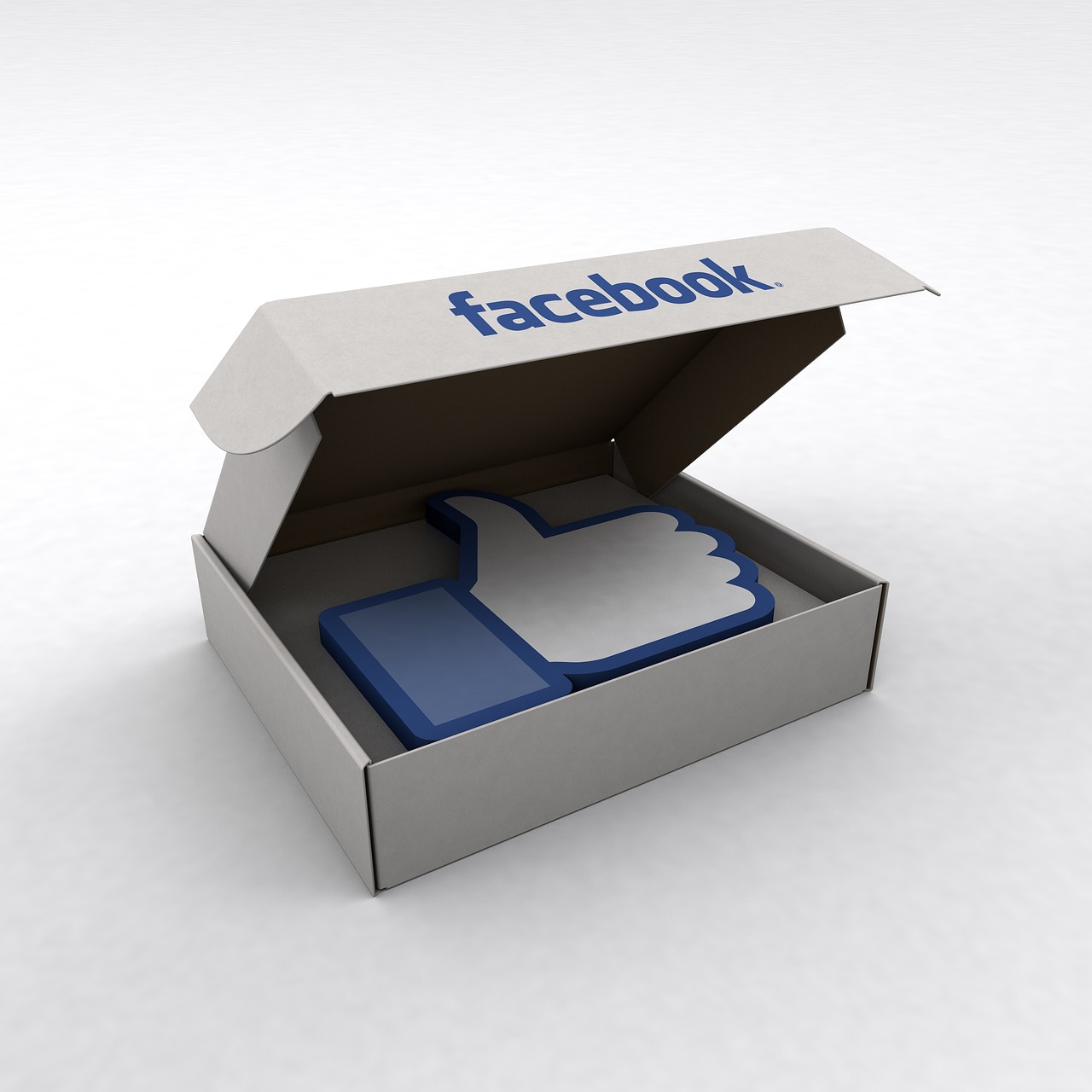 facebook  like  box free photo