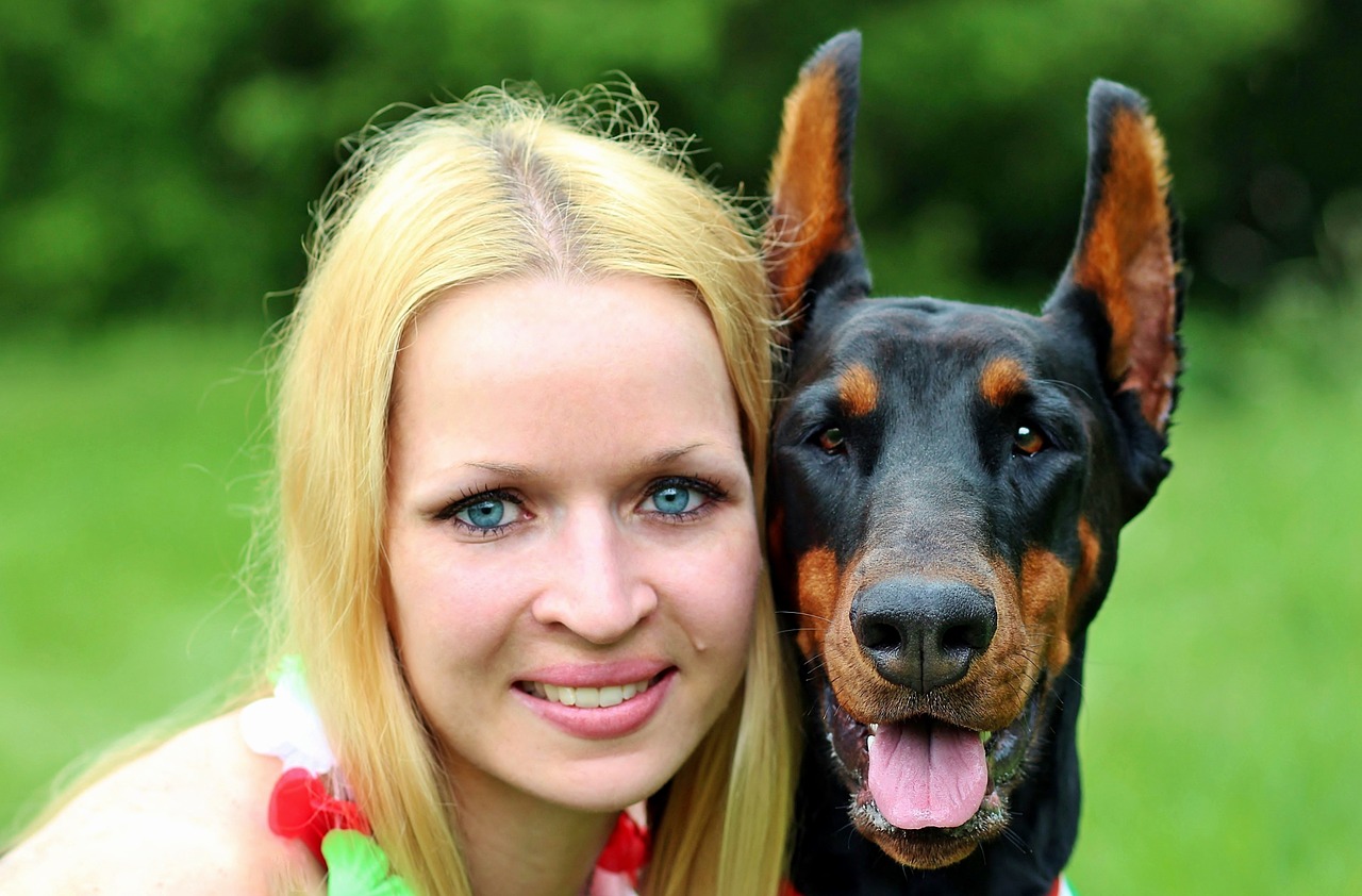 facial doberman love free photo