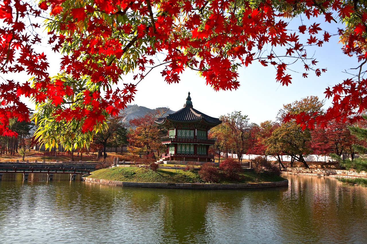 facing garden gyeongbok palace cultural property free photo