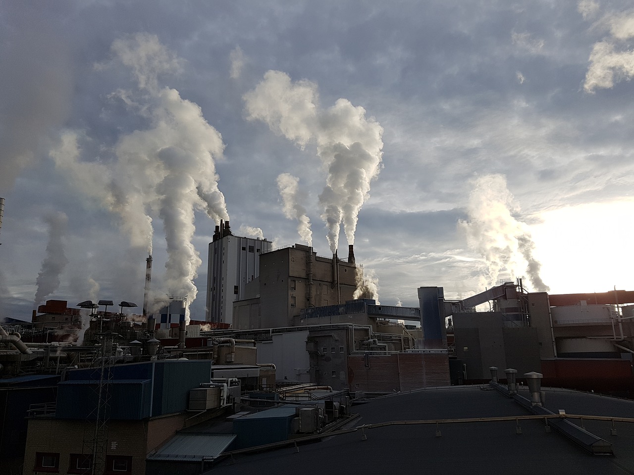 factory industry factory chimney free photo