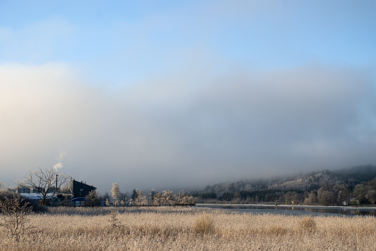 factory  reed  winter free photo