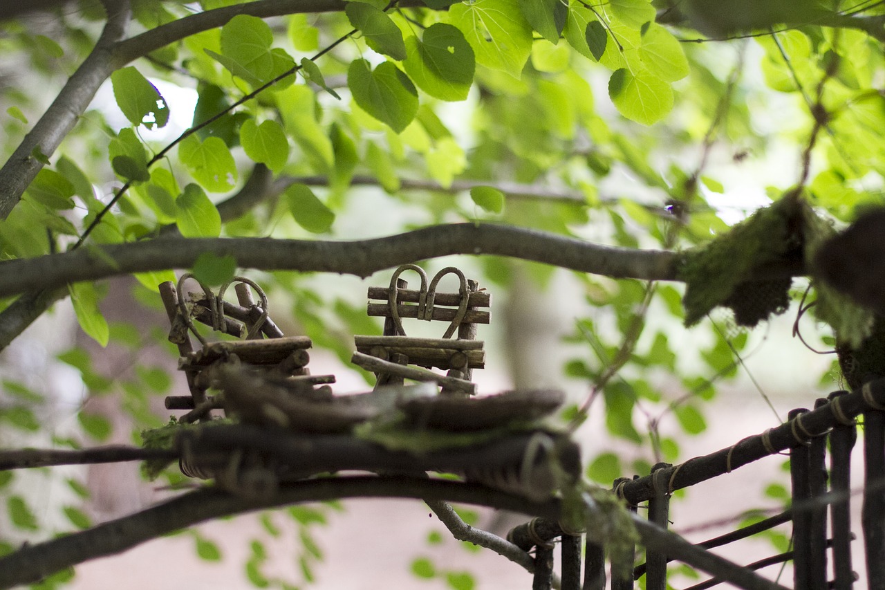 fairy  chairs  doll house free photo