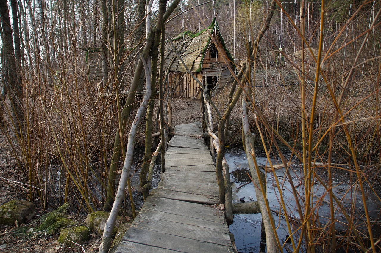 fairy  forest  forest park free photo