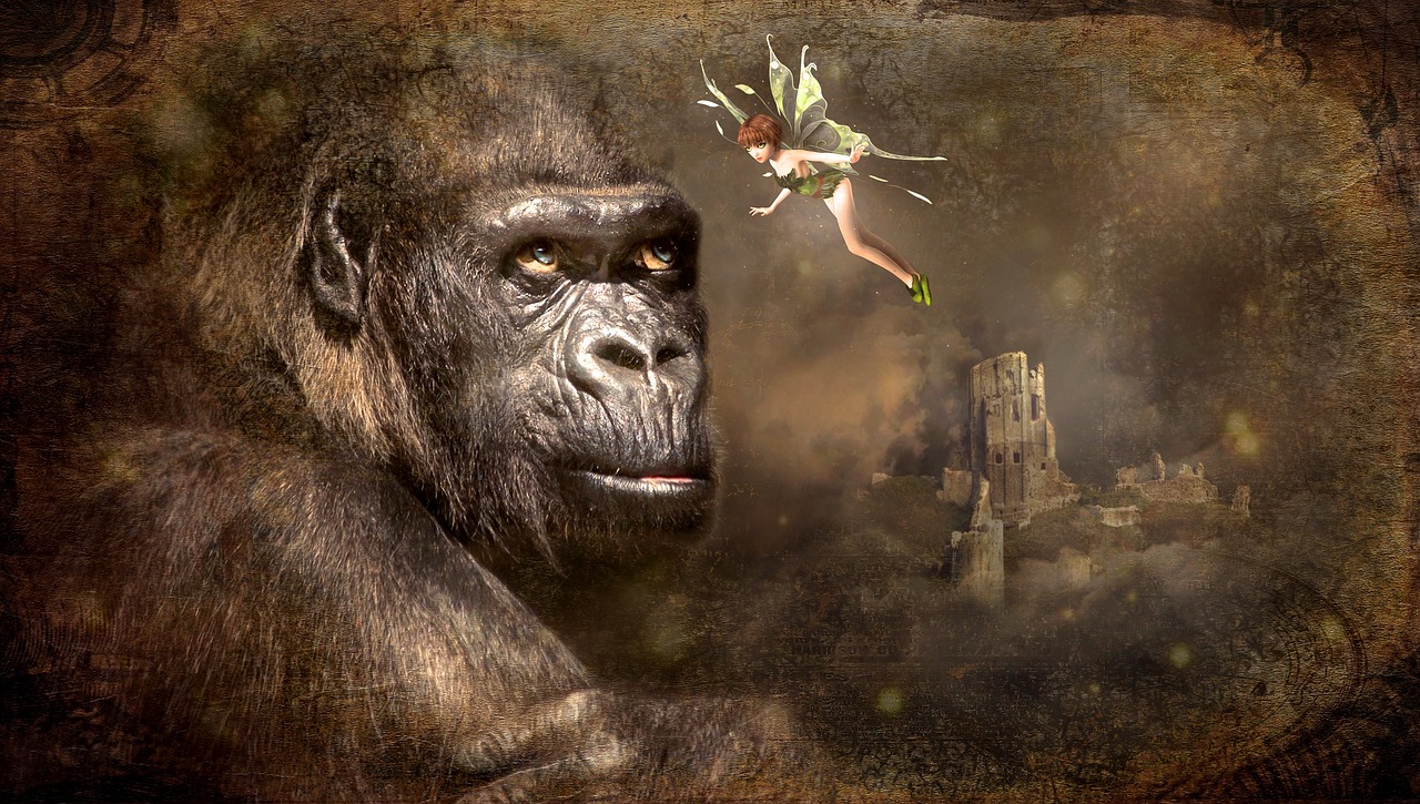 fairy tales elf gorilla free photo