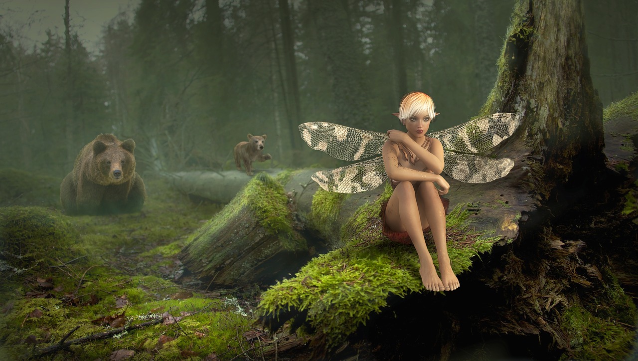 fairy tales fantasy forest free photo
