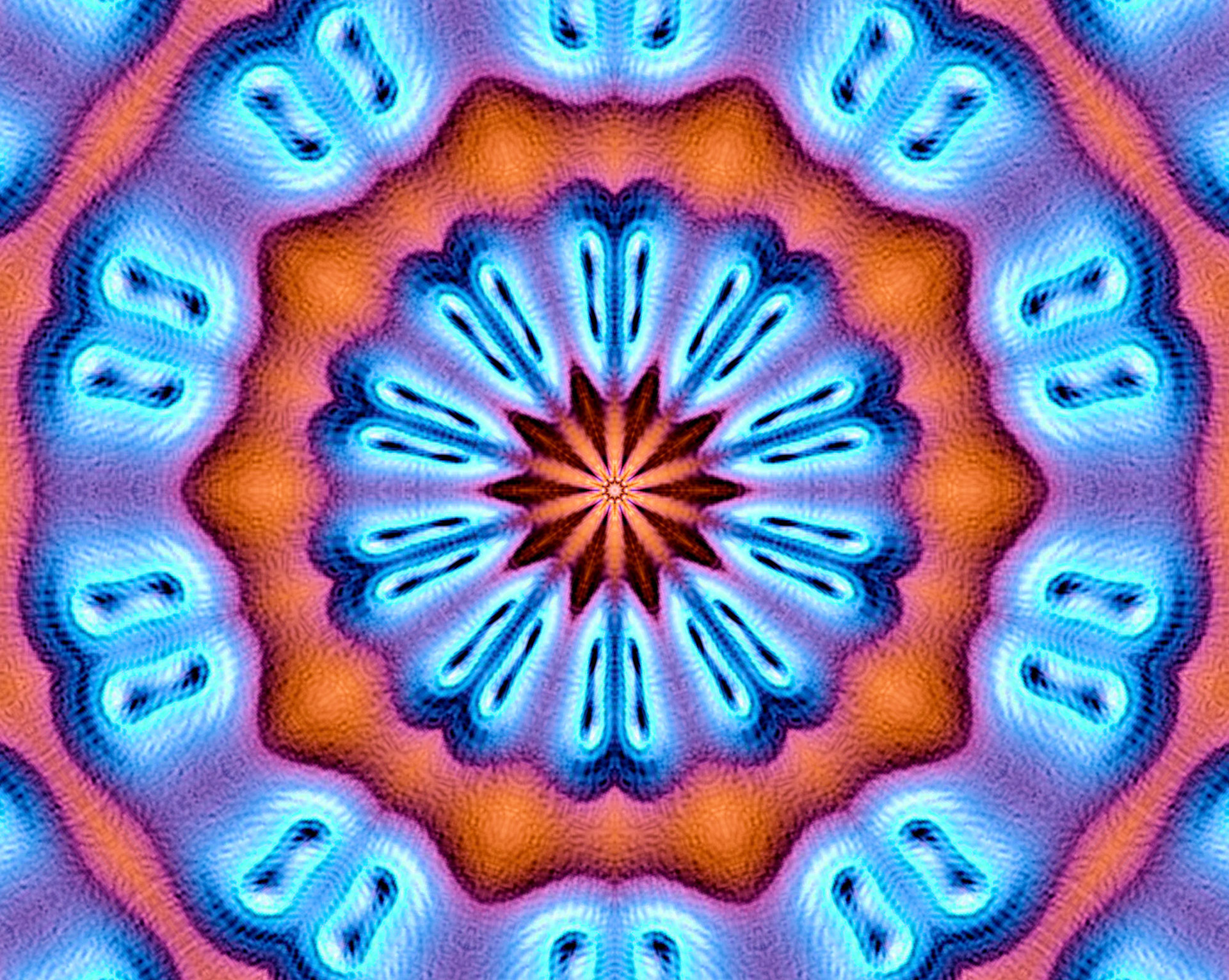 fake flower kaleidoscope free photo