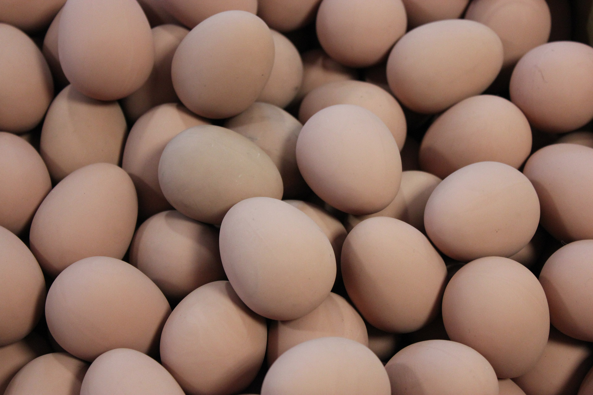 egg eggs rubber free photo