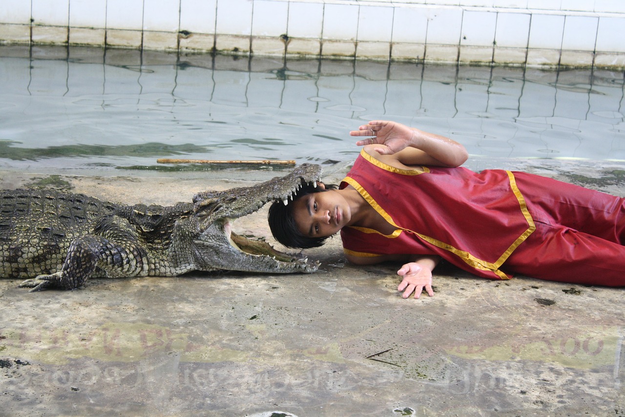 fakir crocodile show free photo