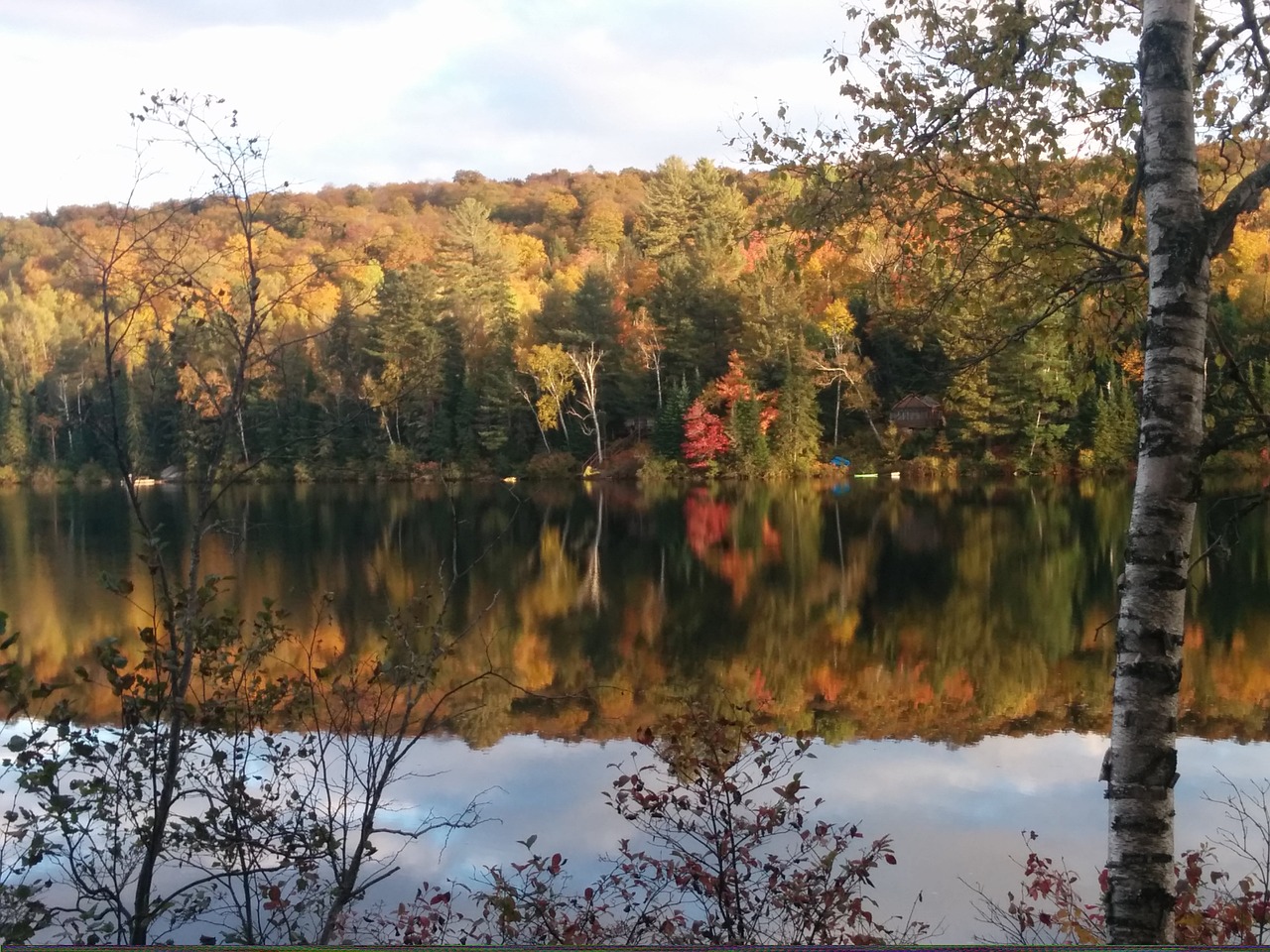 fall haliburton autumn free photo