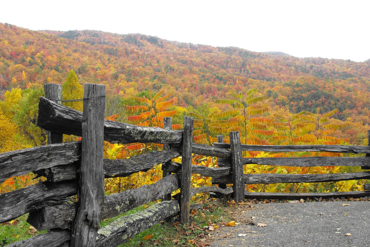 fall fence autumn free photo