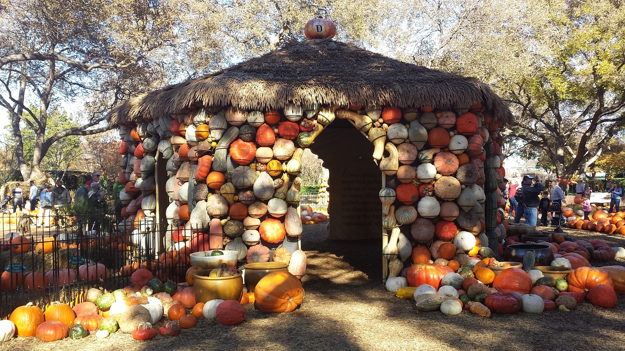 fall pumpkin house pumpkins free photo