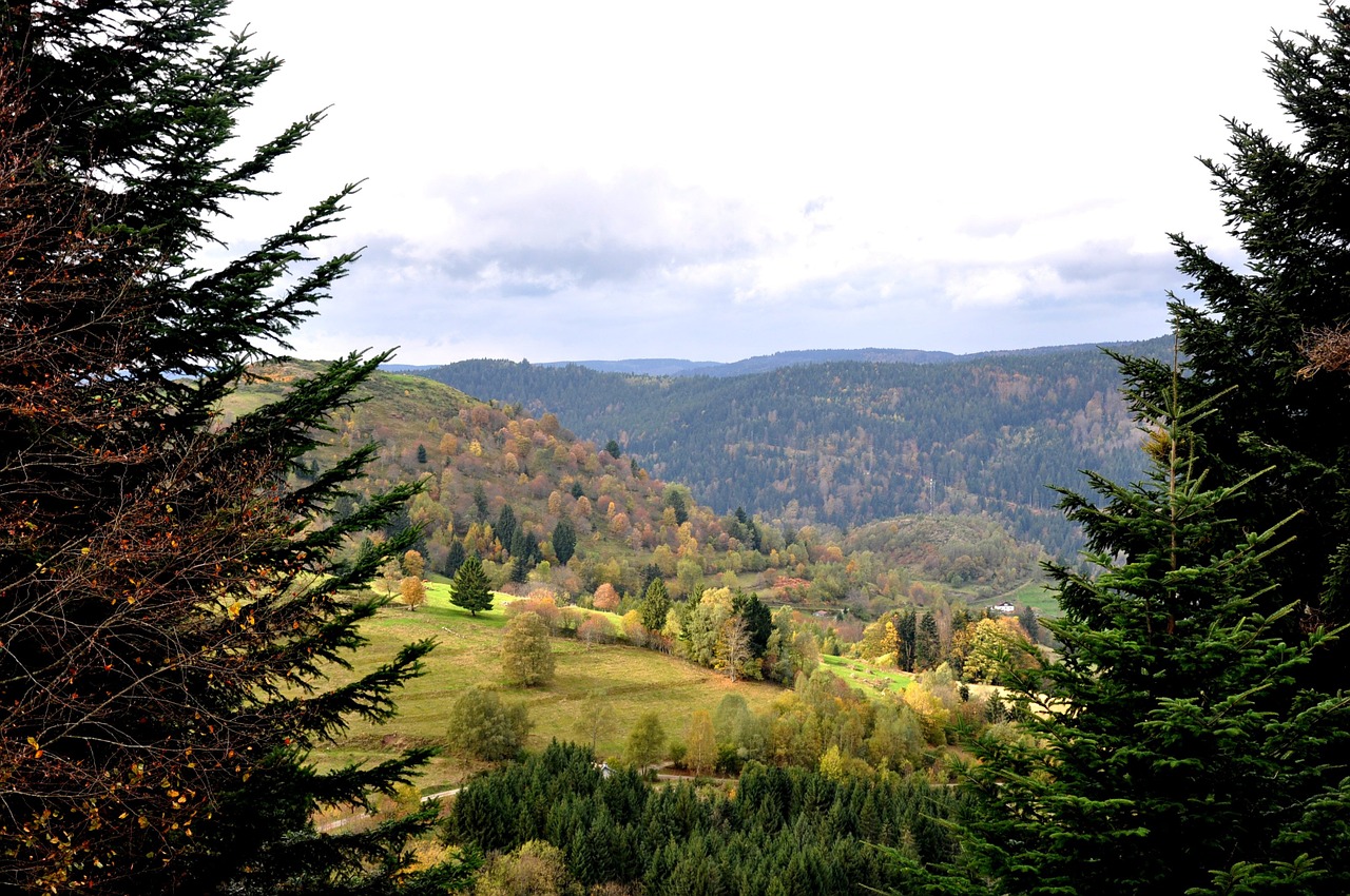 fall vosges nature free photo