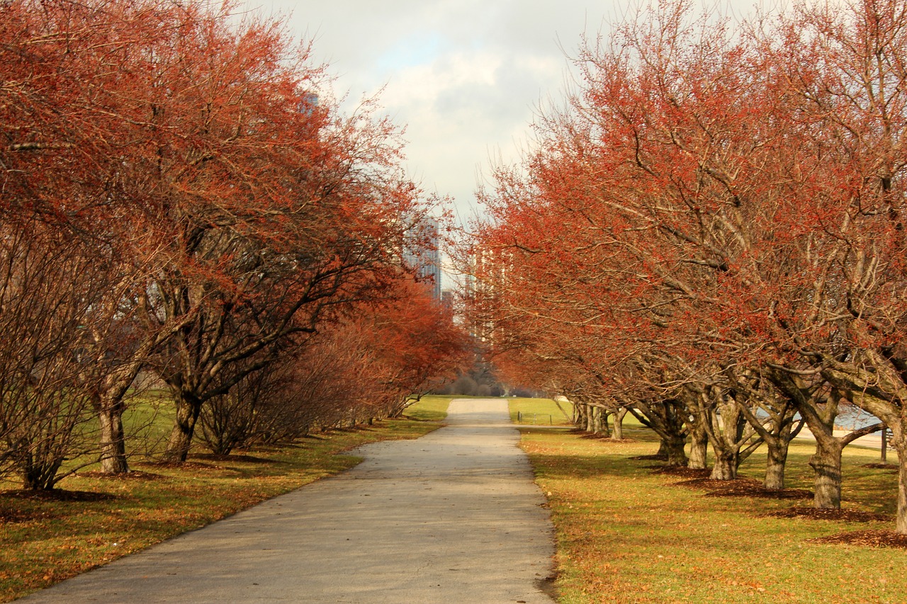 fall autumn winter free photo