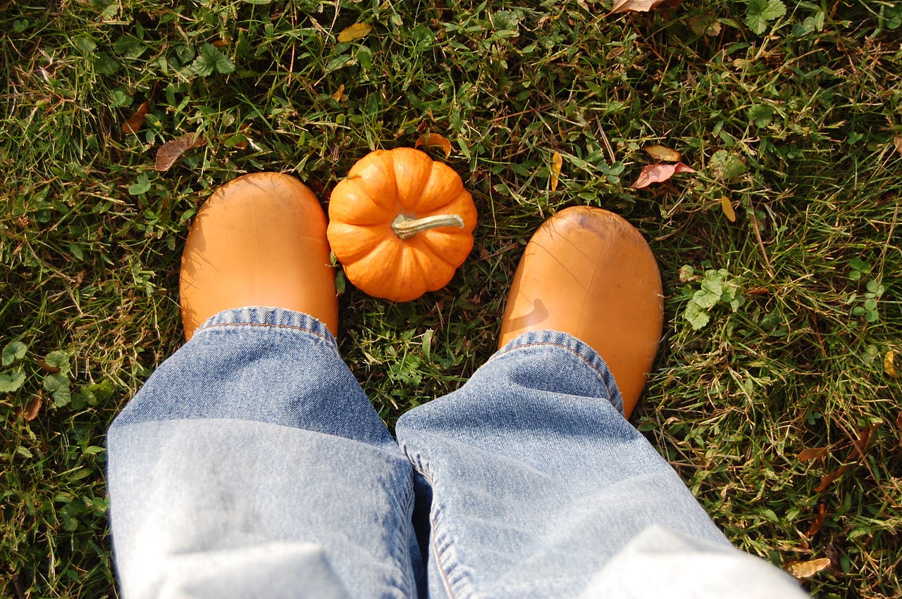 fall autumn pumpkin free photo