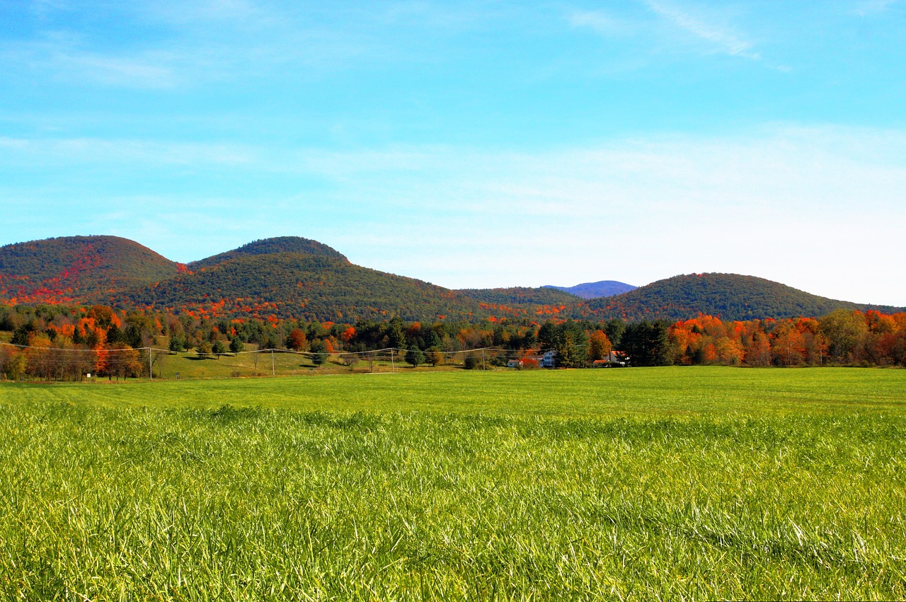 fall mountain grass free photo