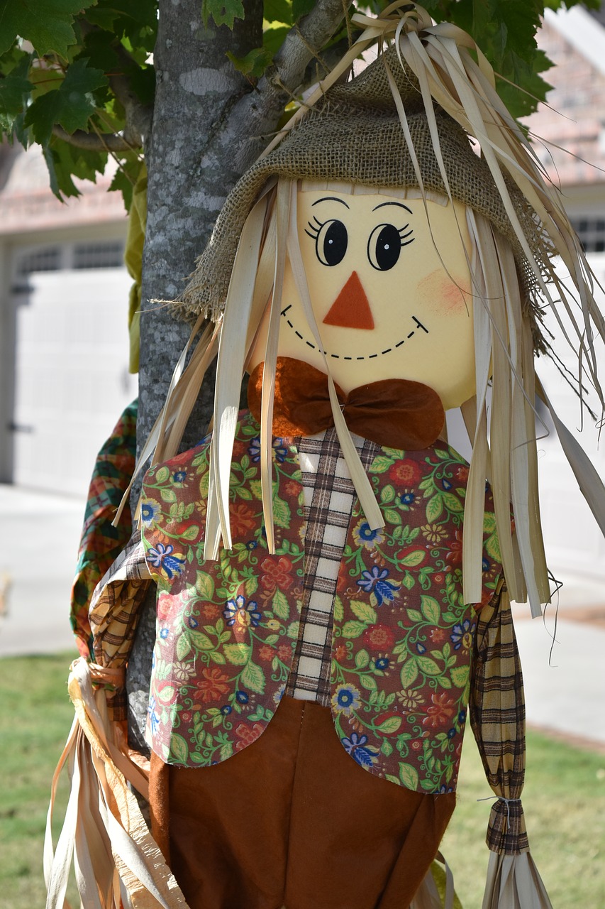 fall scarecrow decoration free photo