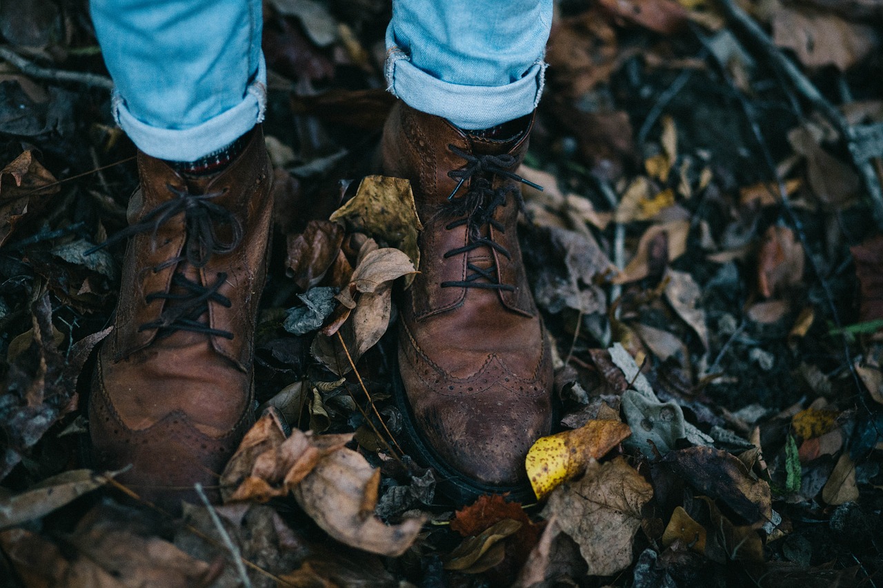 fall feet footwear free photo