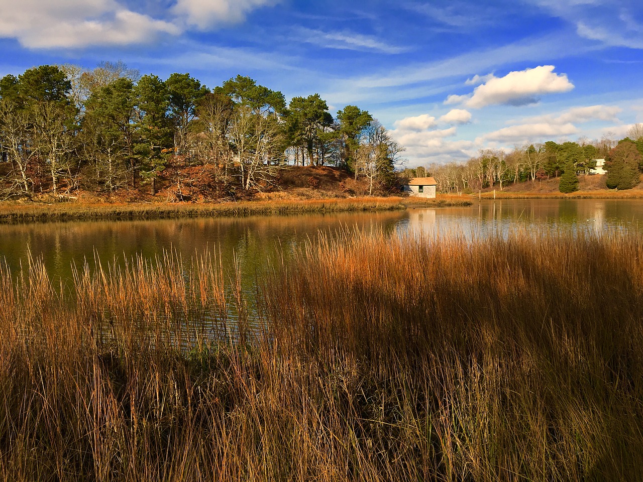 fall autumn nature free photo