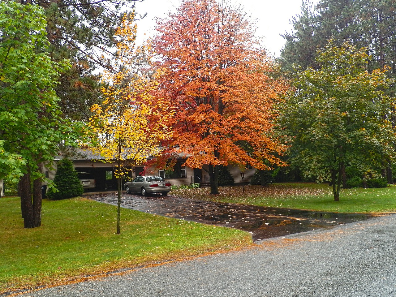 fall front yard orange free photo