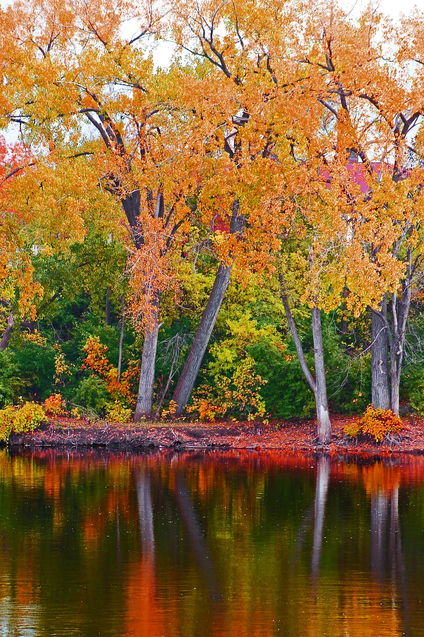 fall landscape river free photo