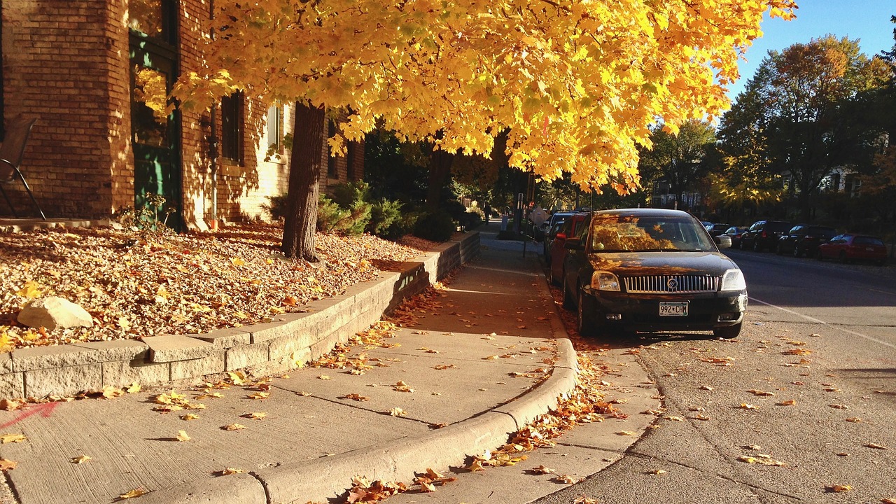 fall autumn city free photo