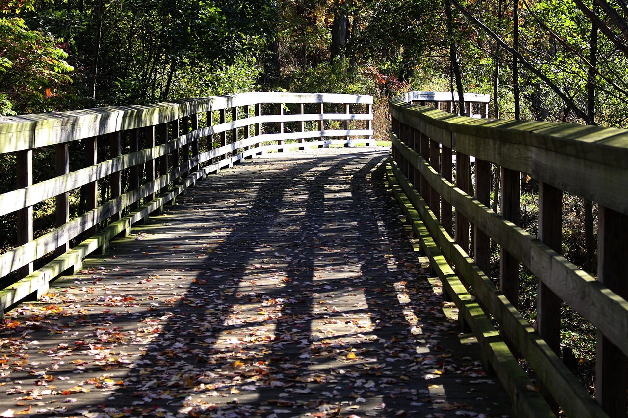 Scene leave. Природа мост. Деревянный мост без перил осень. Ограждение моста из листа. 3d Графика деревянный мост через реку.