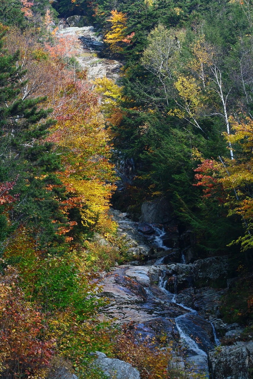 fall waterfall new hampshire free photo