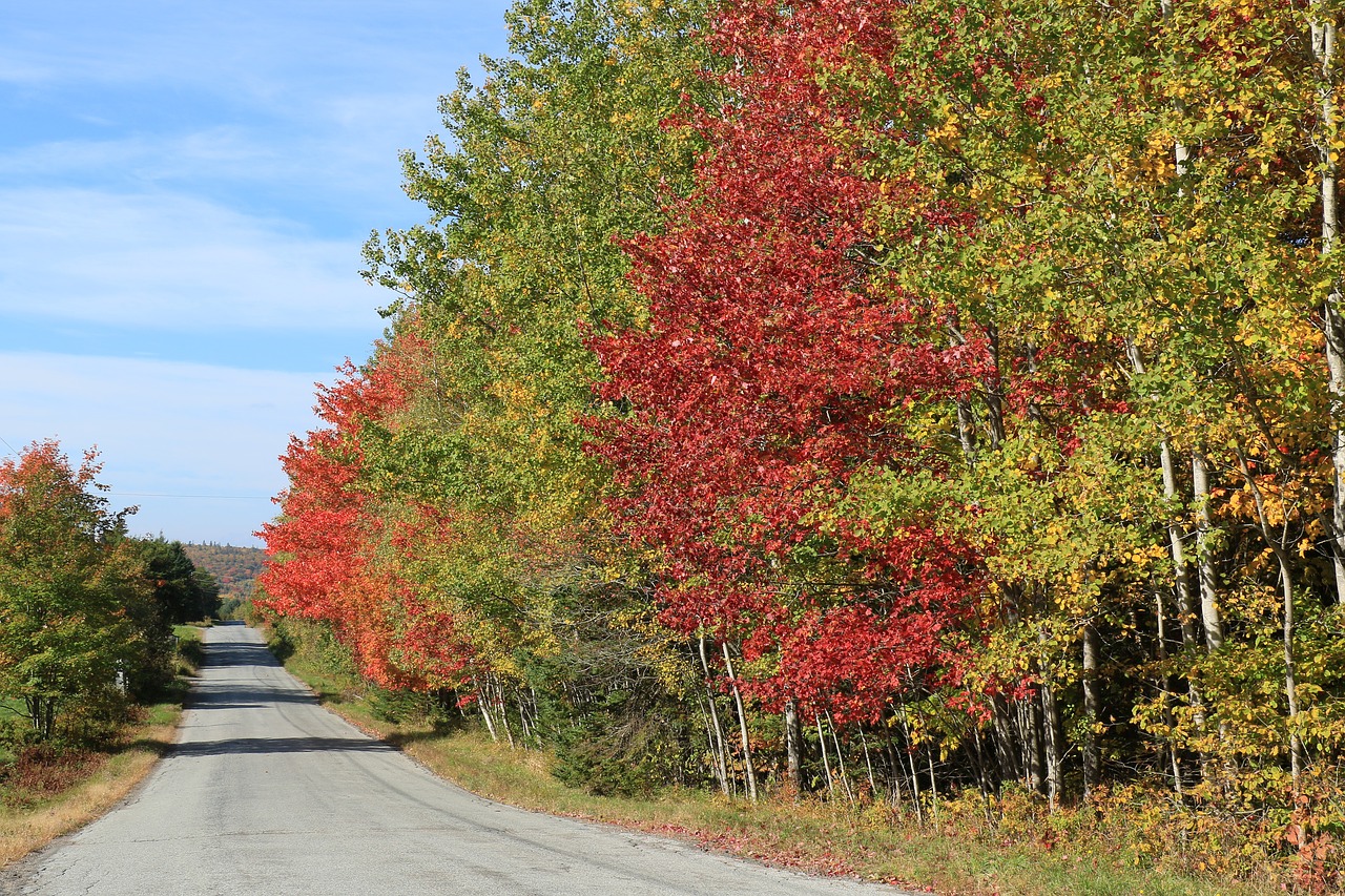 fall travel autumn free photo