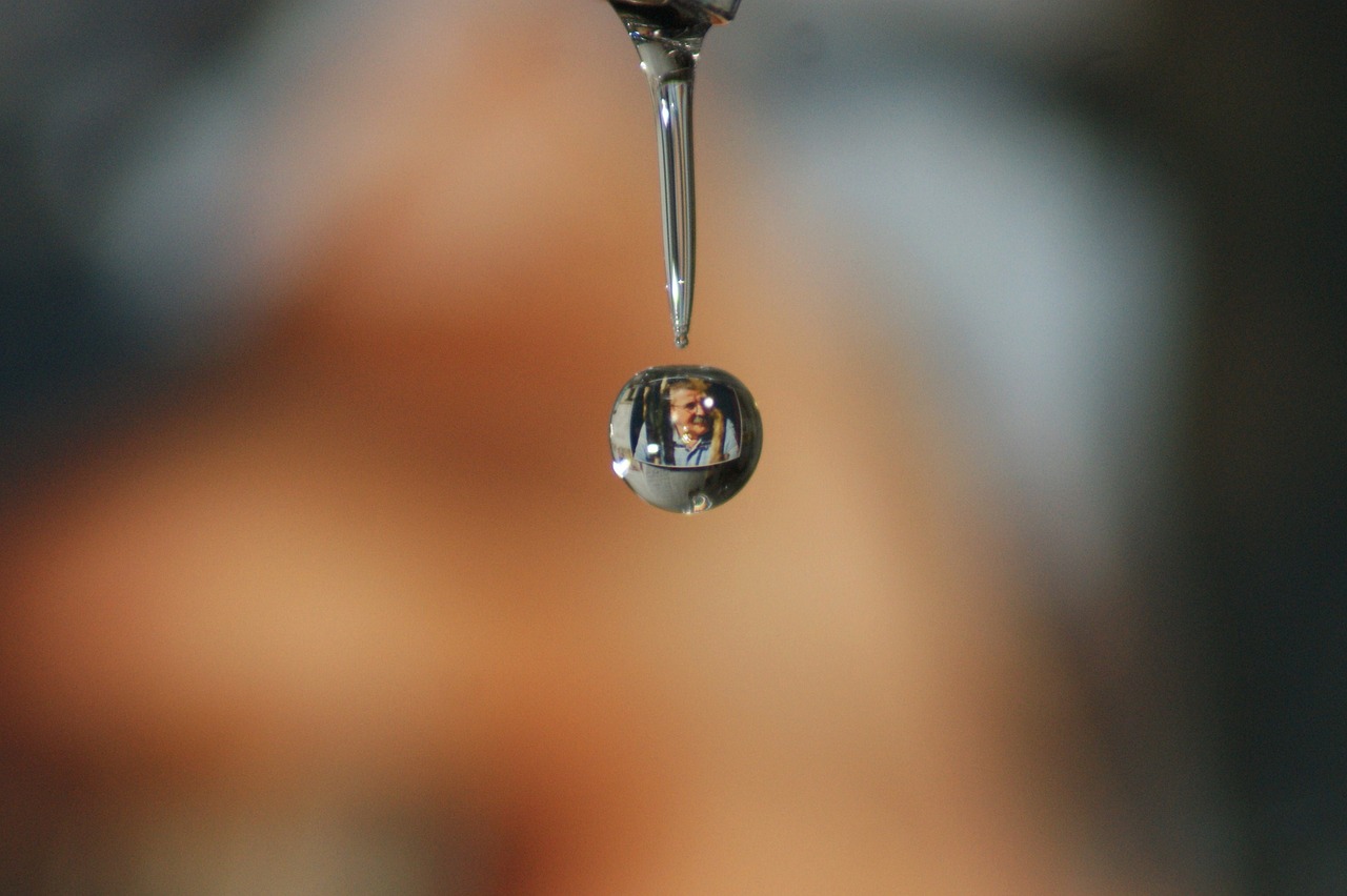 fall drop of free photo