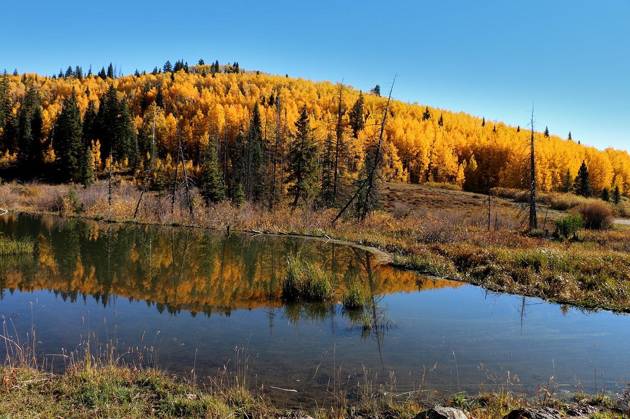 fall mountains pond free photo