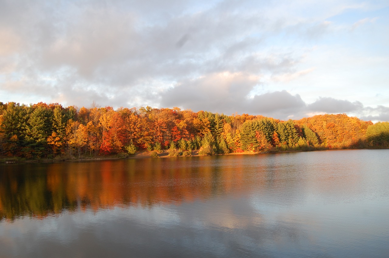 fall at wise reservoir free photo