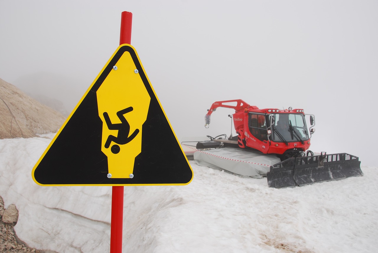 fall snow cat glacier free photo