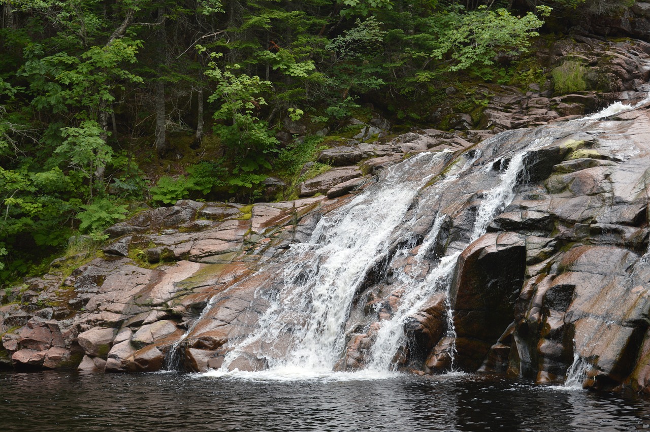 fall water nature free photo