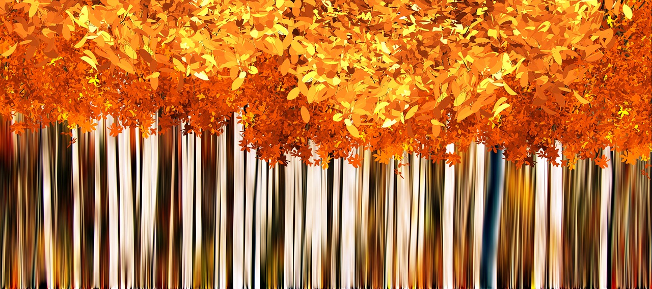 fall autumn background free photo