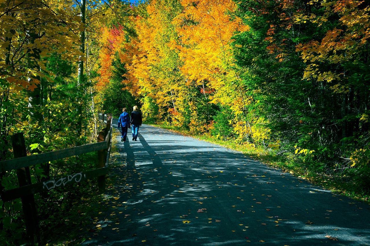 fall market path free photo