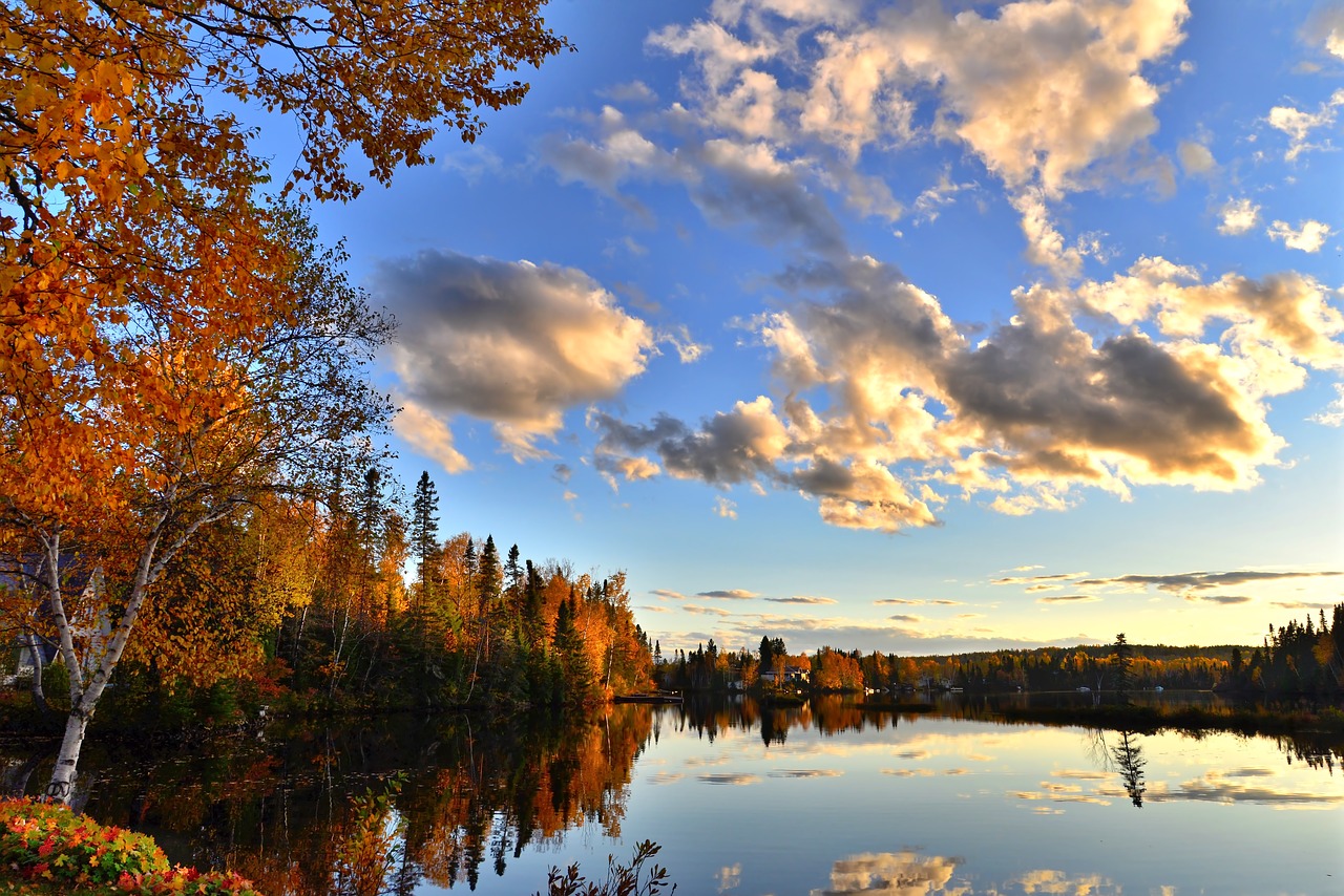 fall autumn landscape autumn leaves free photo