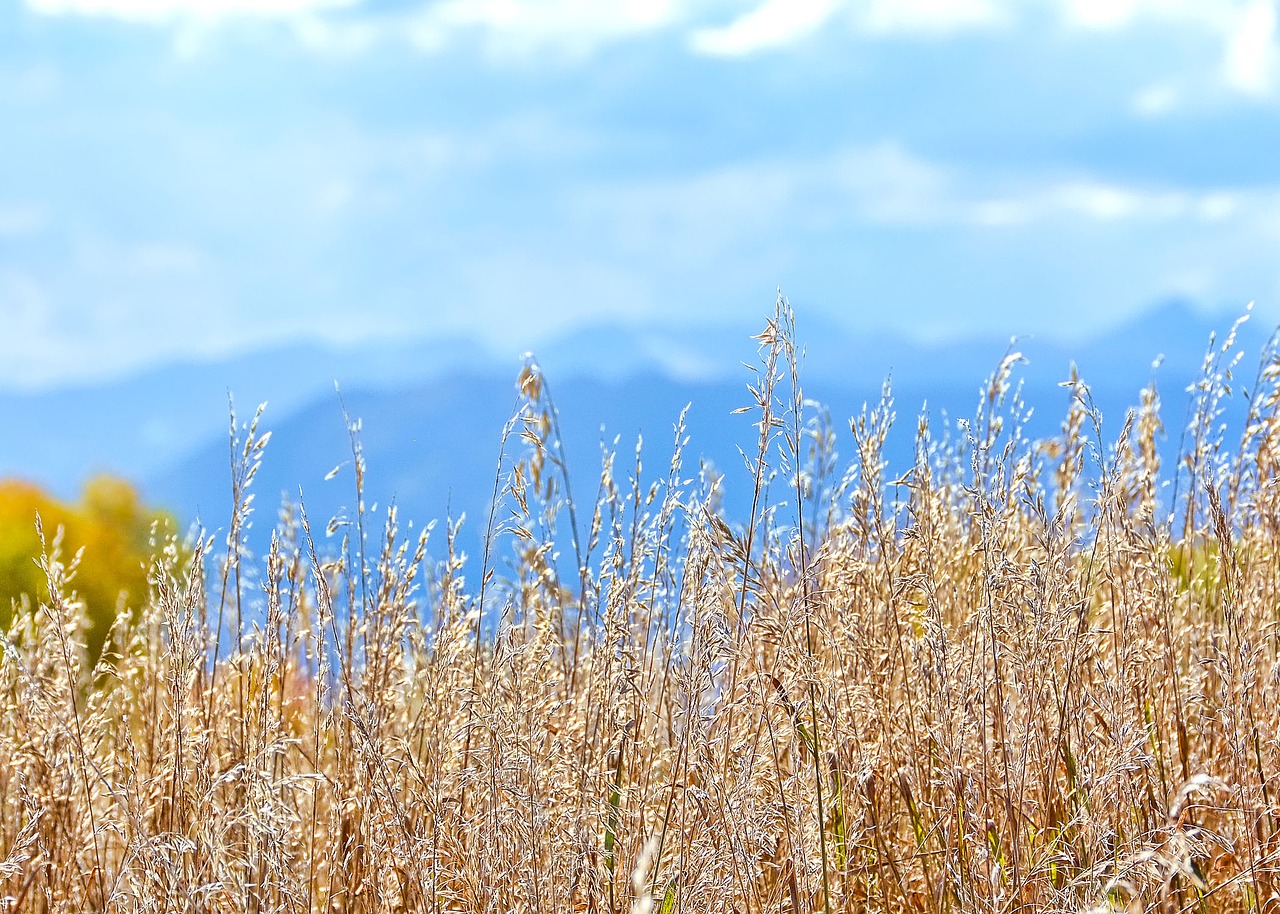 fall mountains autumn free photo