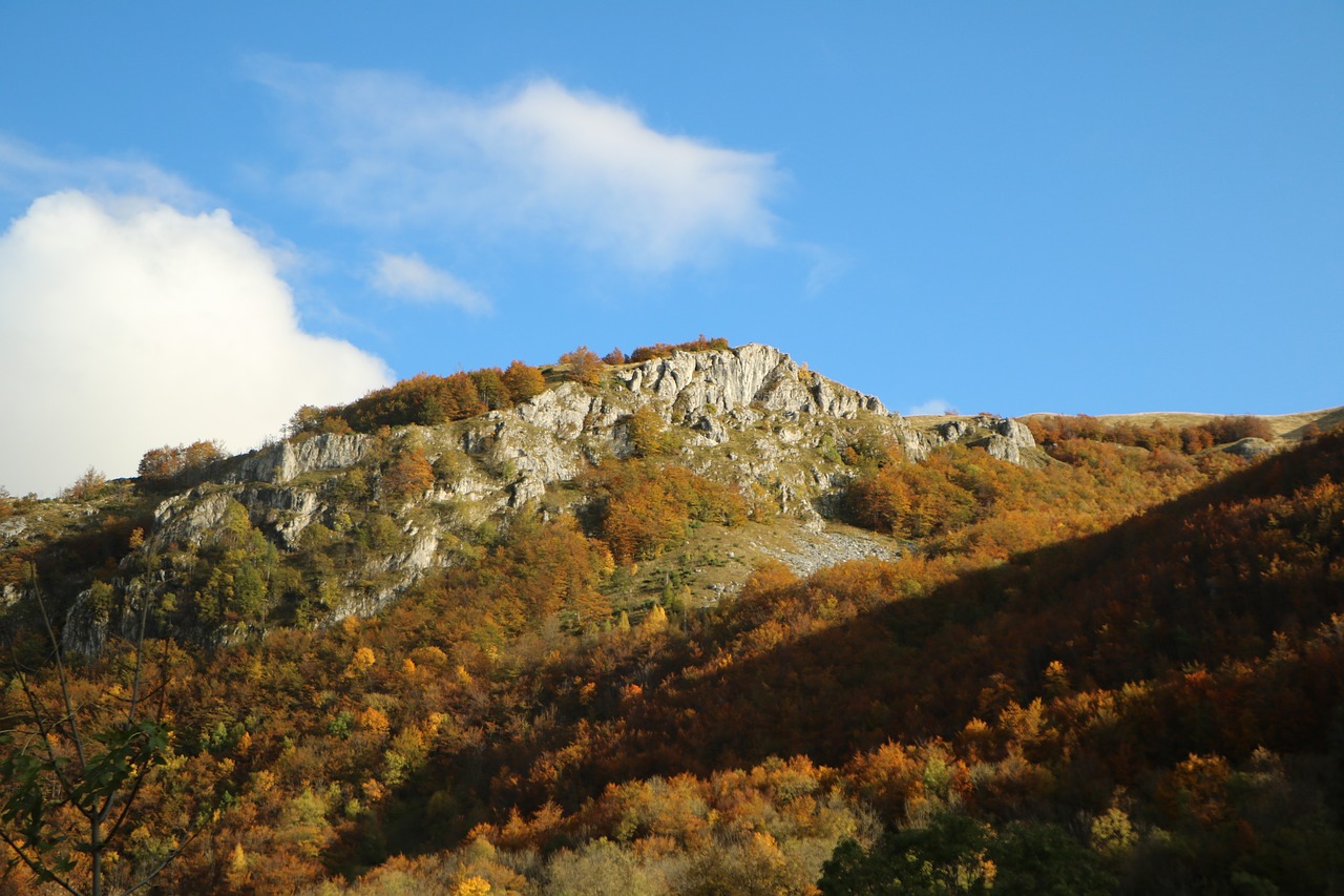 fall mountain autumn free photo