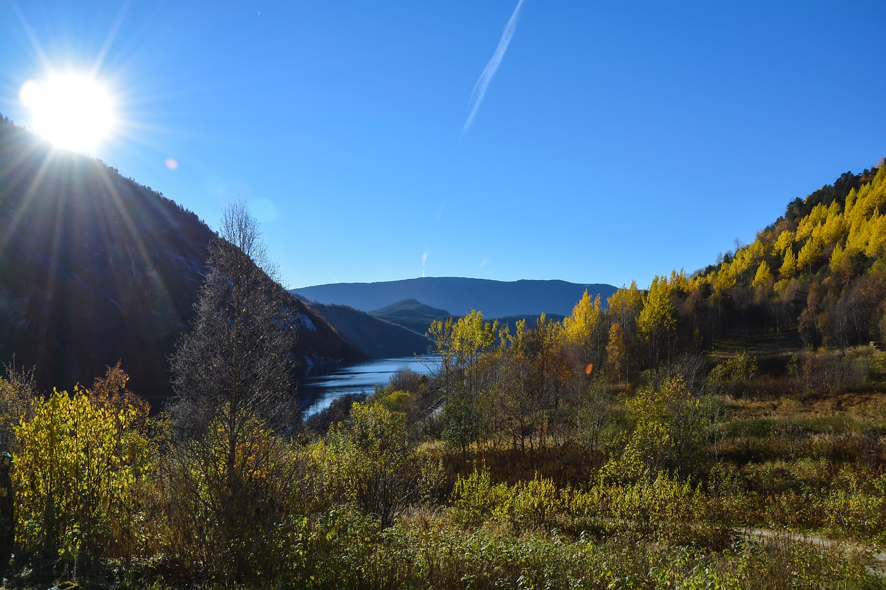 fall autumn sunny free photo