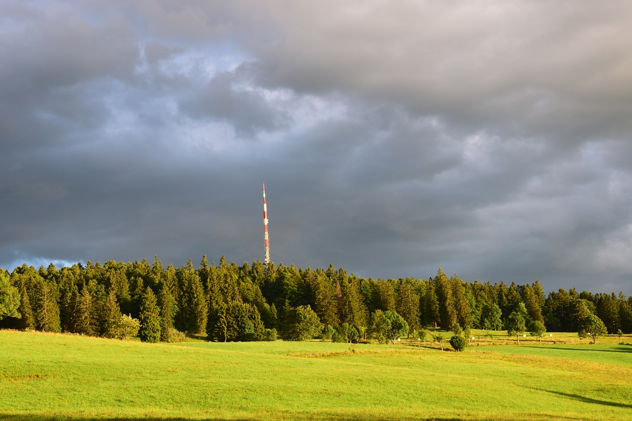 fall forest antenna free photo