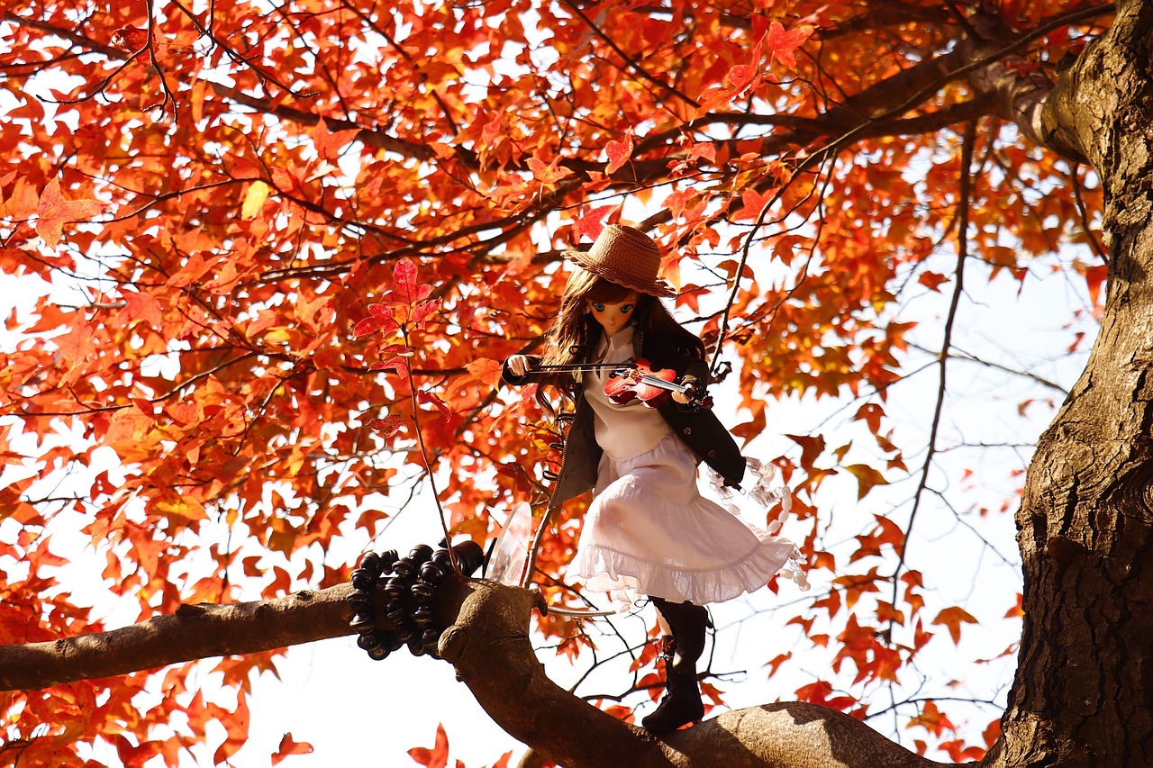 fall tree leaf free photo